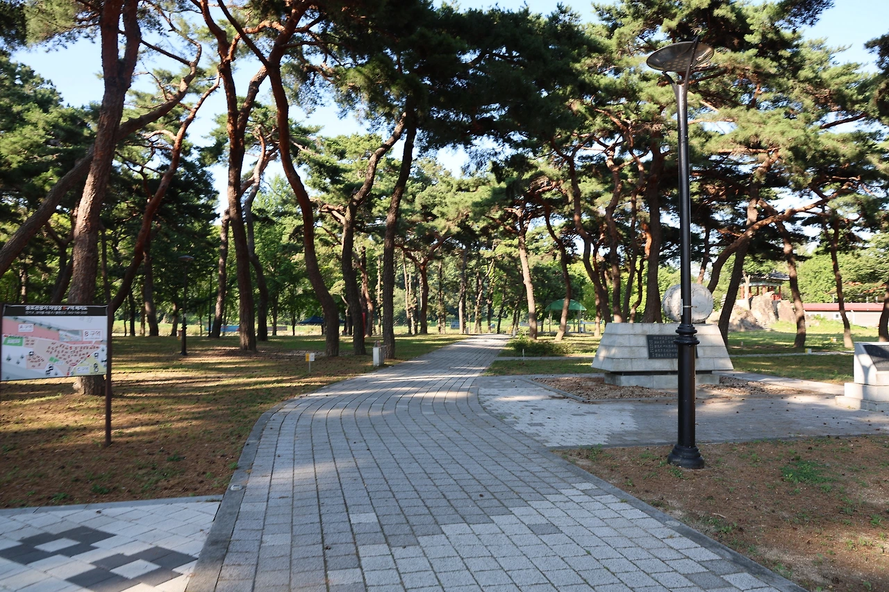 0R5A8096_новый размер.JPG