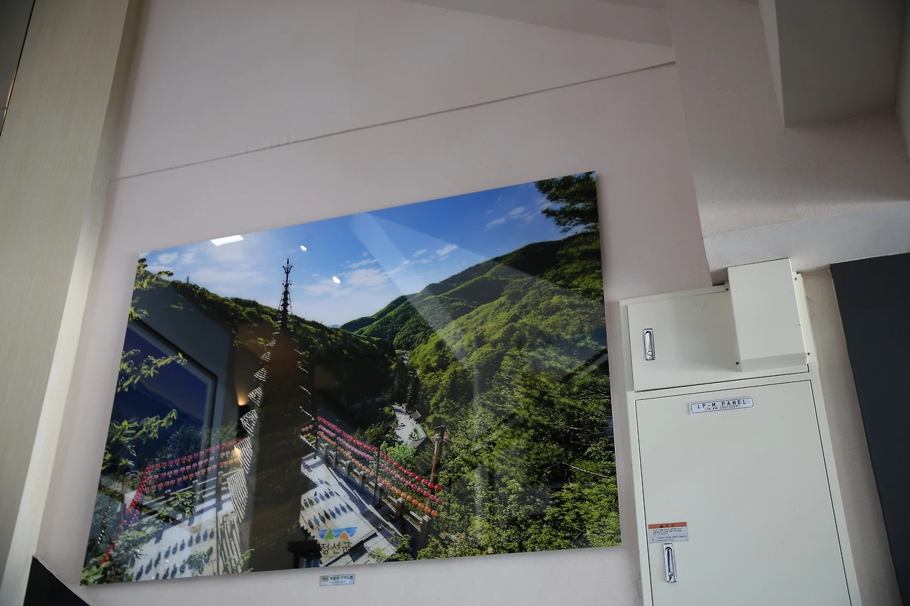 MG0A8034_новый размер.JPG