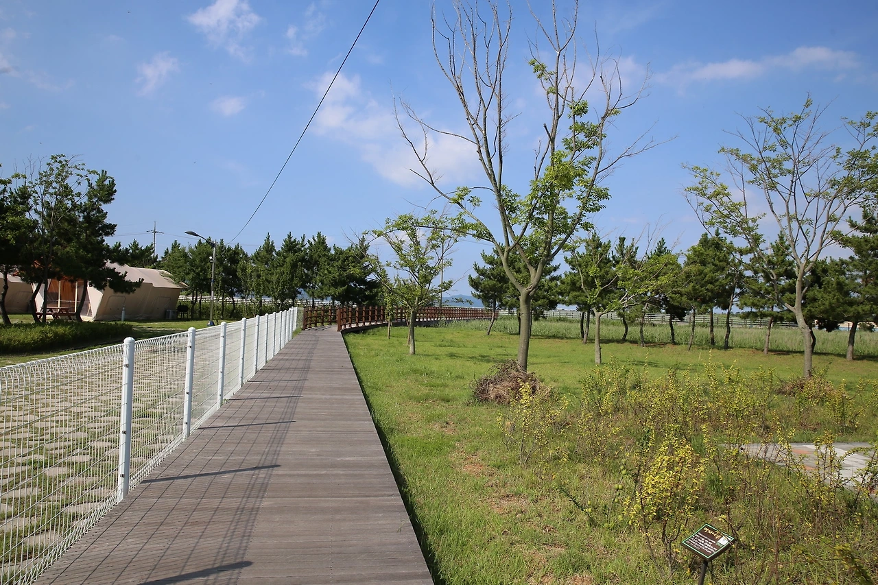 MG0A4603_новый размер.JPG