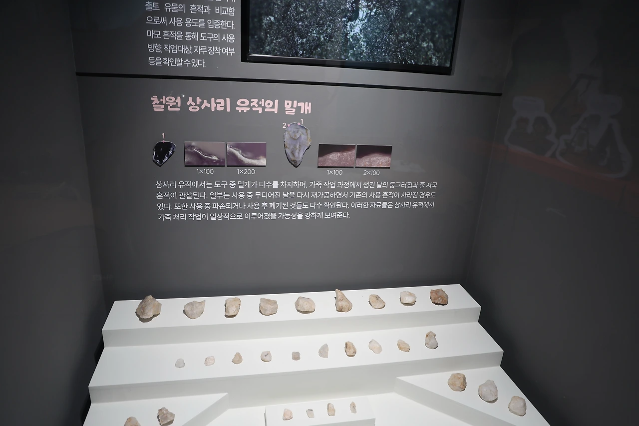 0R5A5064_новый размер.JPG