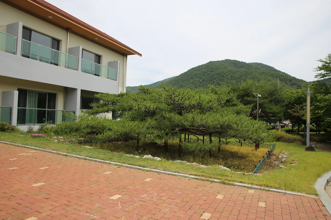 MG0A8546_новый размер.JPG