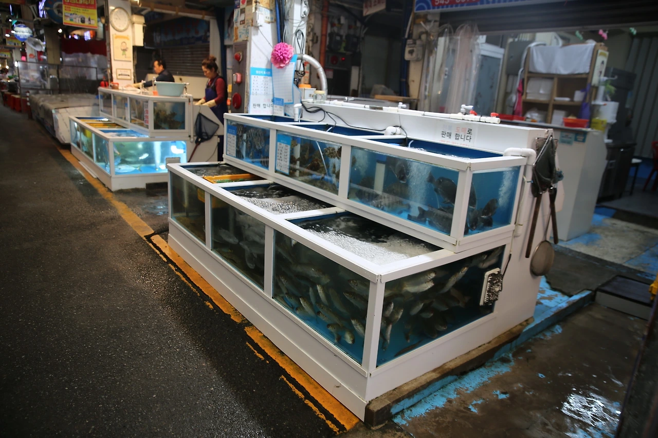 MG0A0392_новый размер.JPG