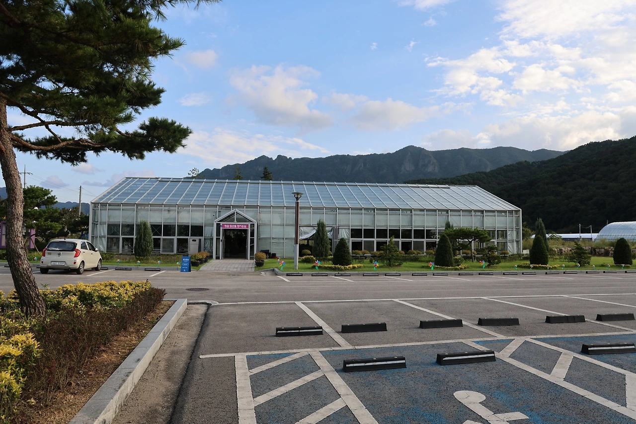 0R5A9232_новый размер.JPG