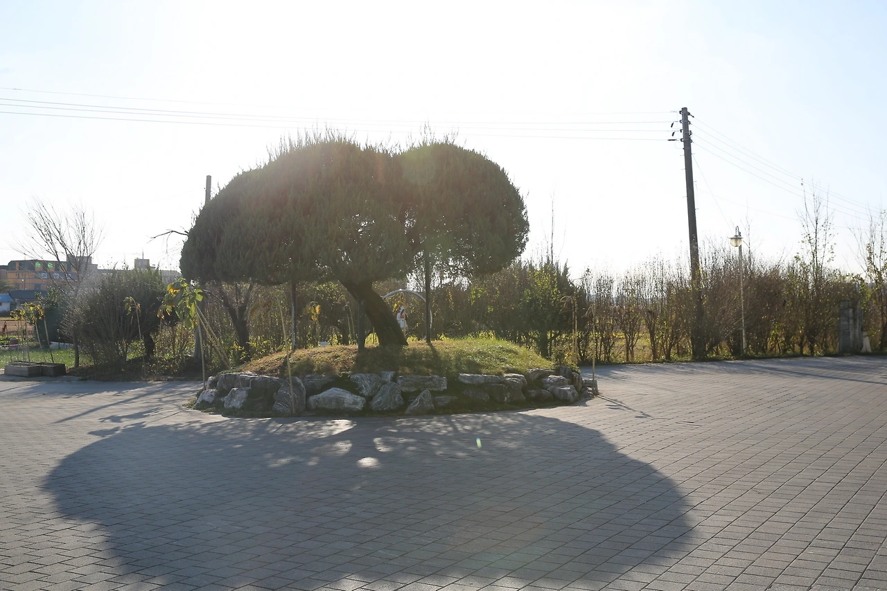 MG0A0615_новый размер.JPG