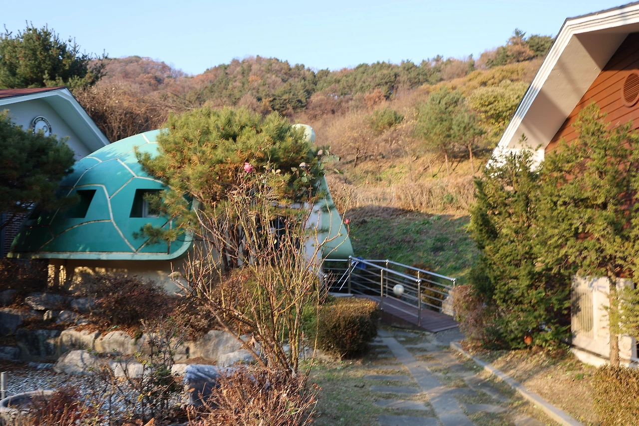 0R5A2959_новый размер.JPG