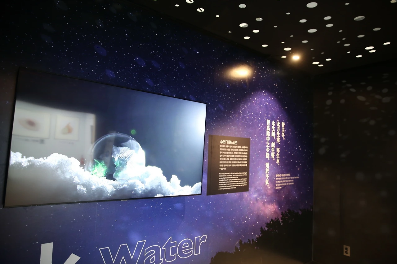 MG0A3161_новый размер.JPG