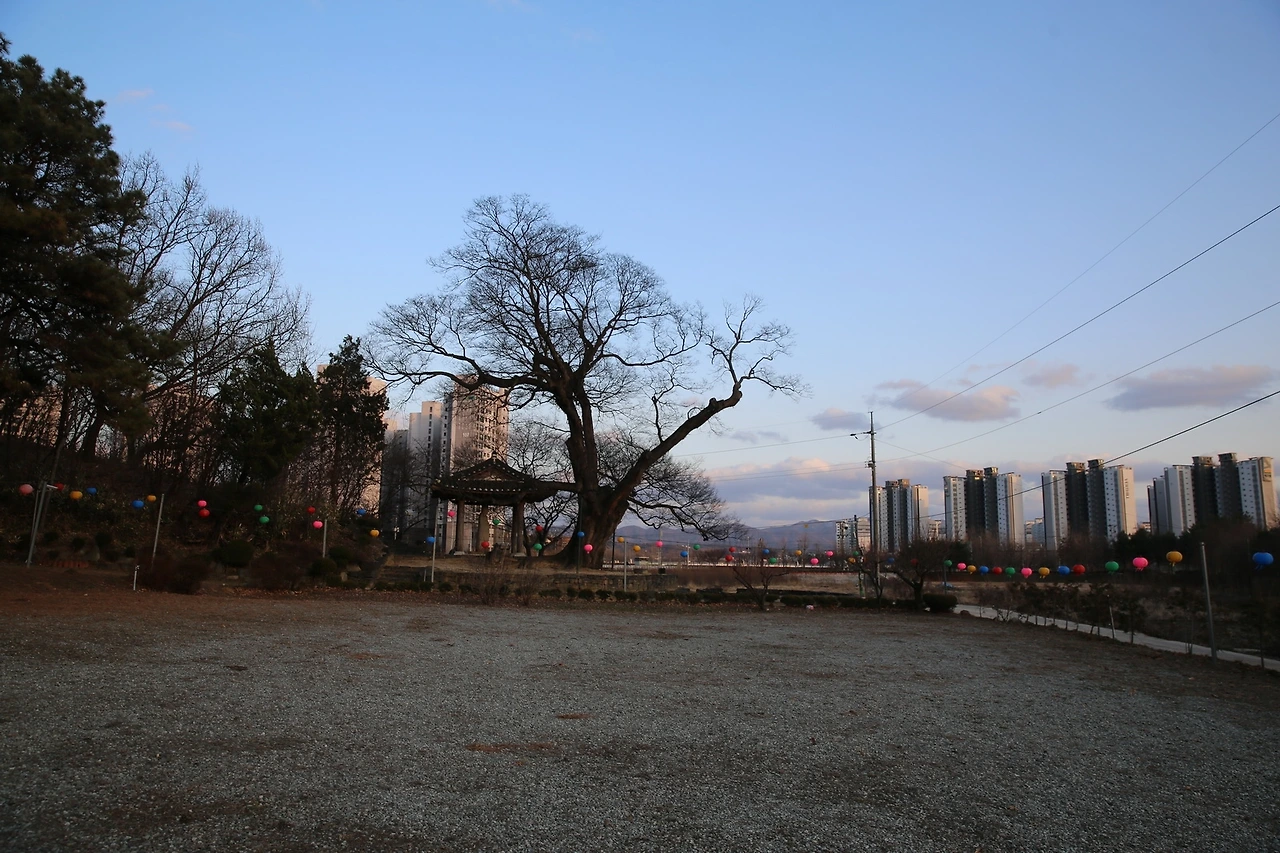 MG0A2039_новый размер.JPG