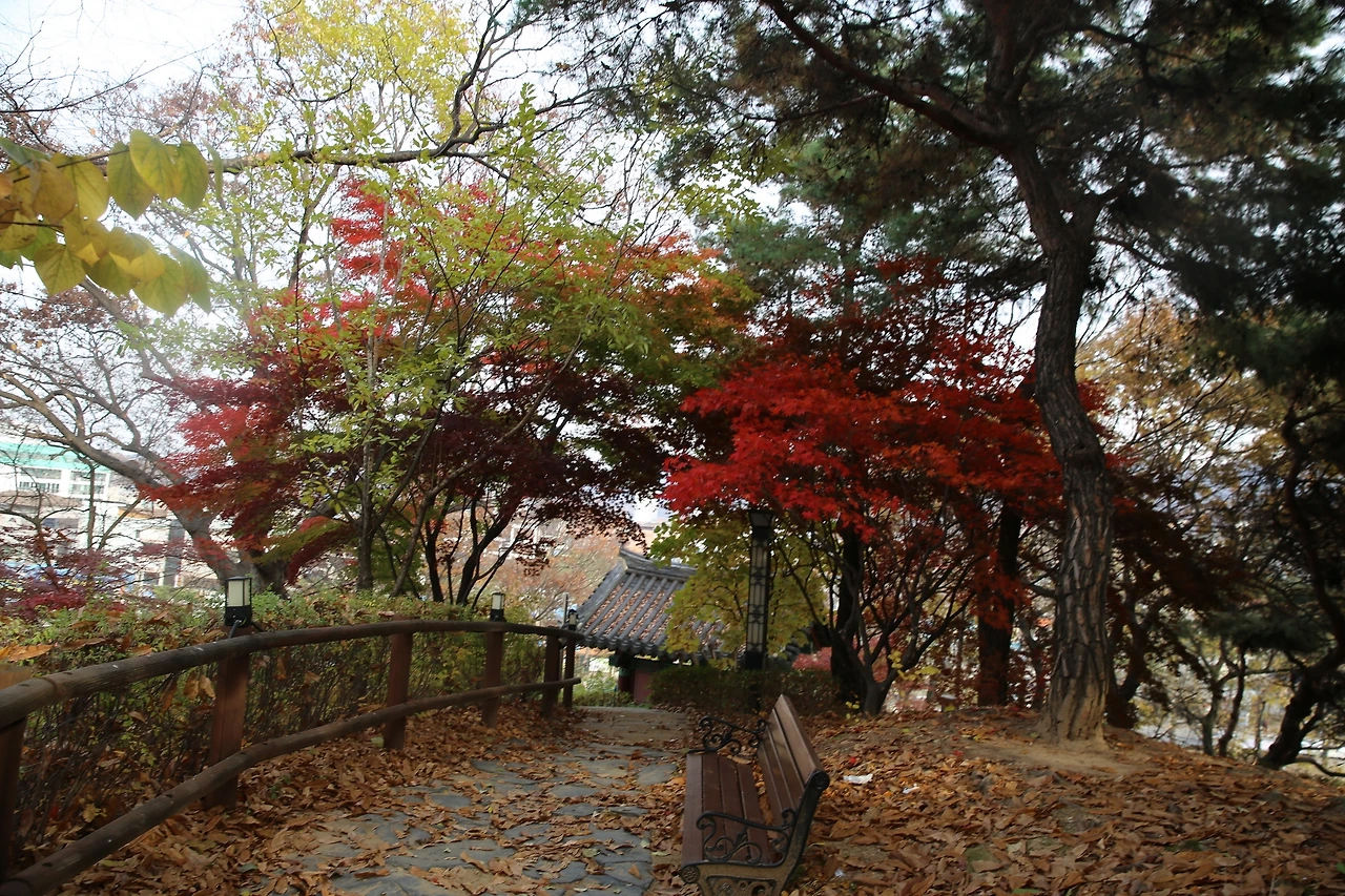 MG0A1758_новый размер.JPG