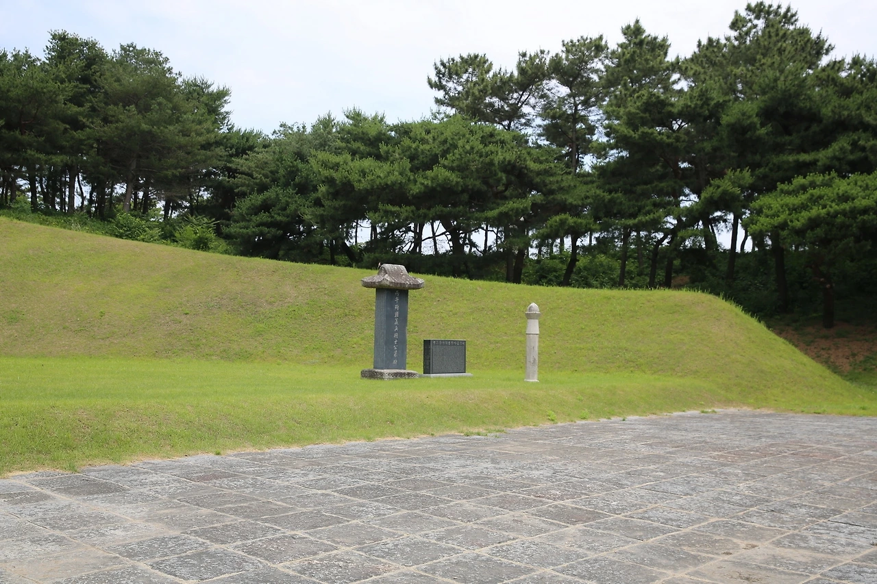 MG0A6181_новый размер.JPG