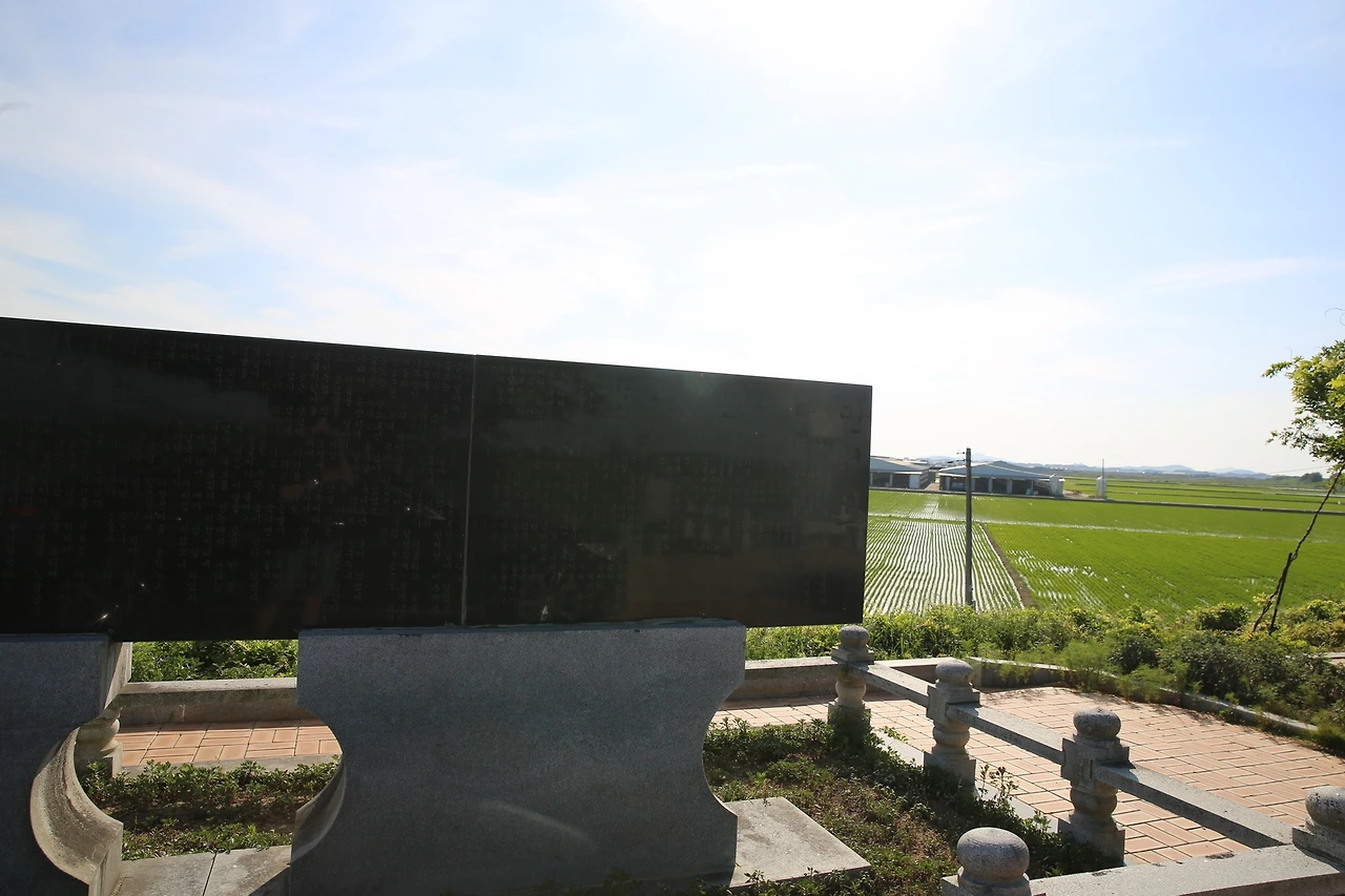 MG0A9062_новый размер.JPG