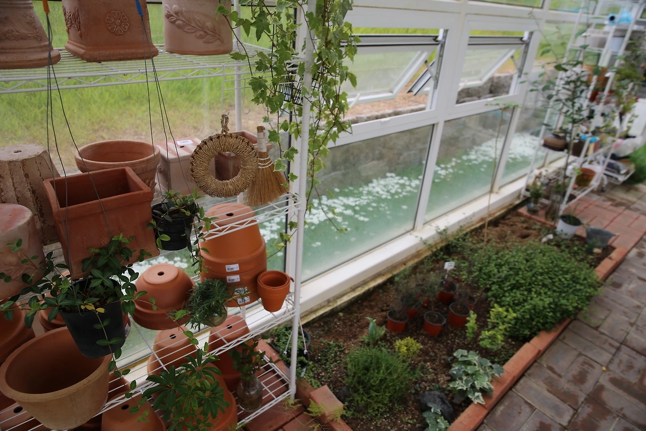 MG0A6956_новый размер.JPG