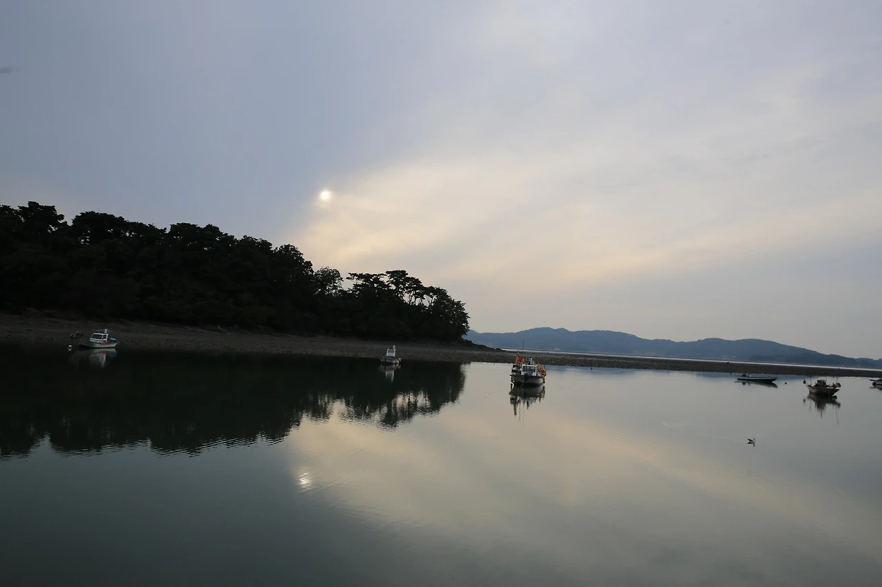 MG0A5372_новый размер.JPG