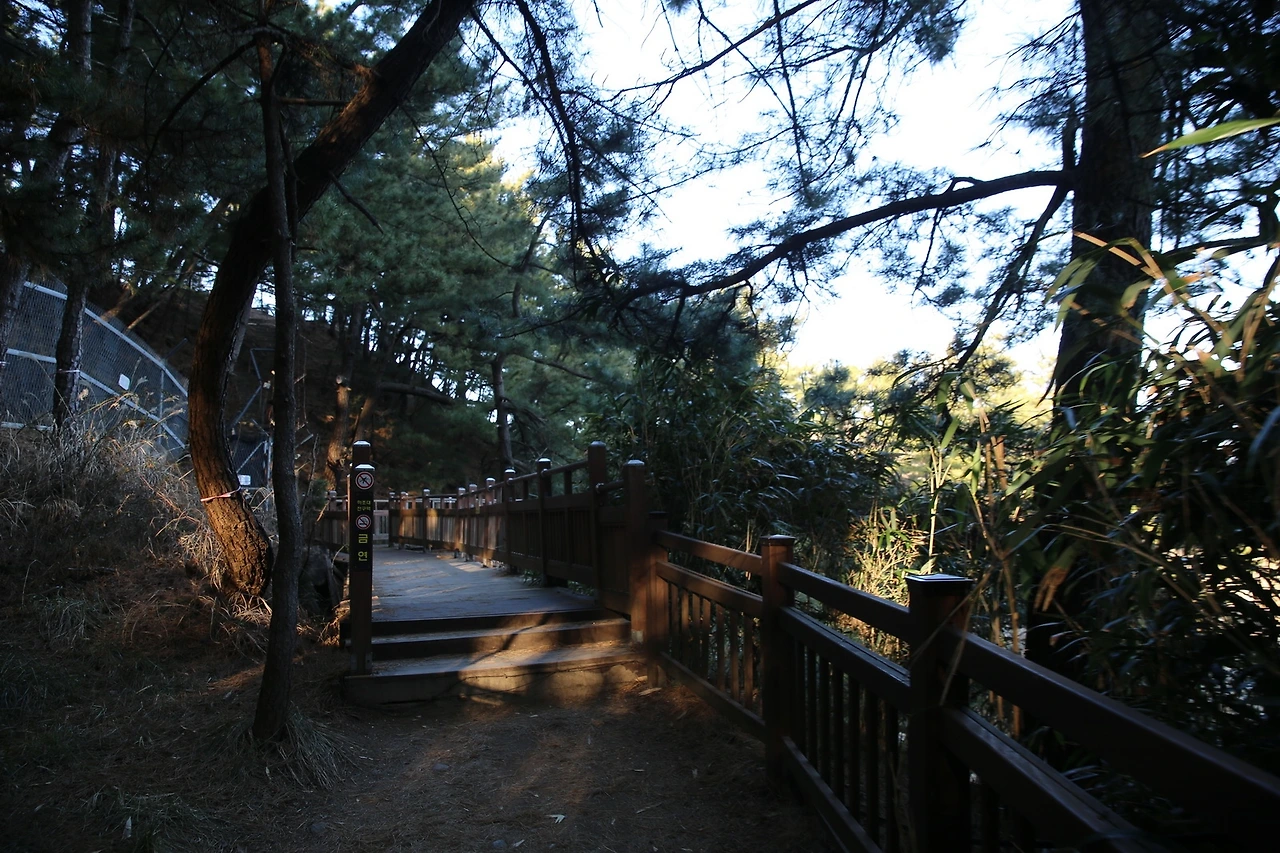 MG0A6631_новый размер.JPG