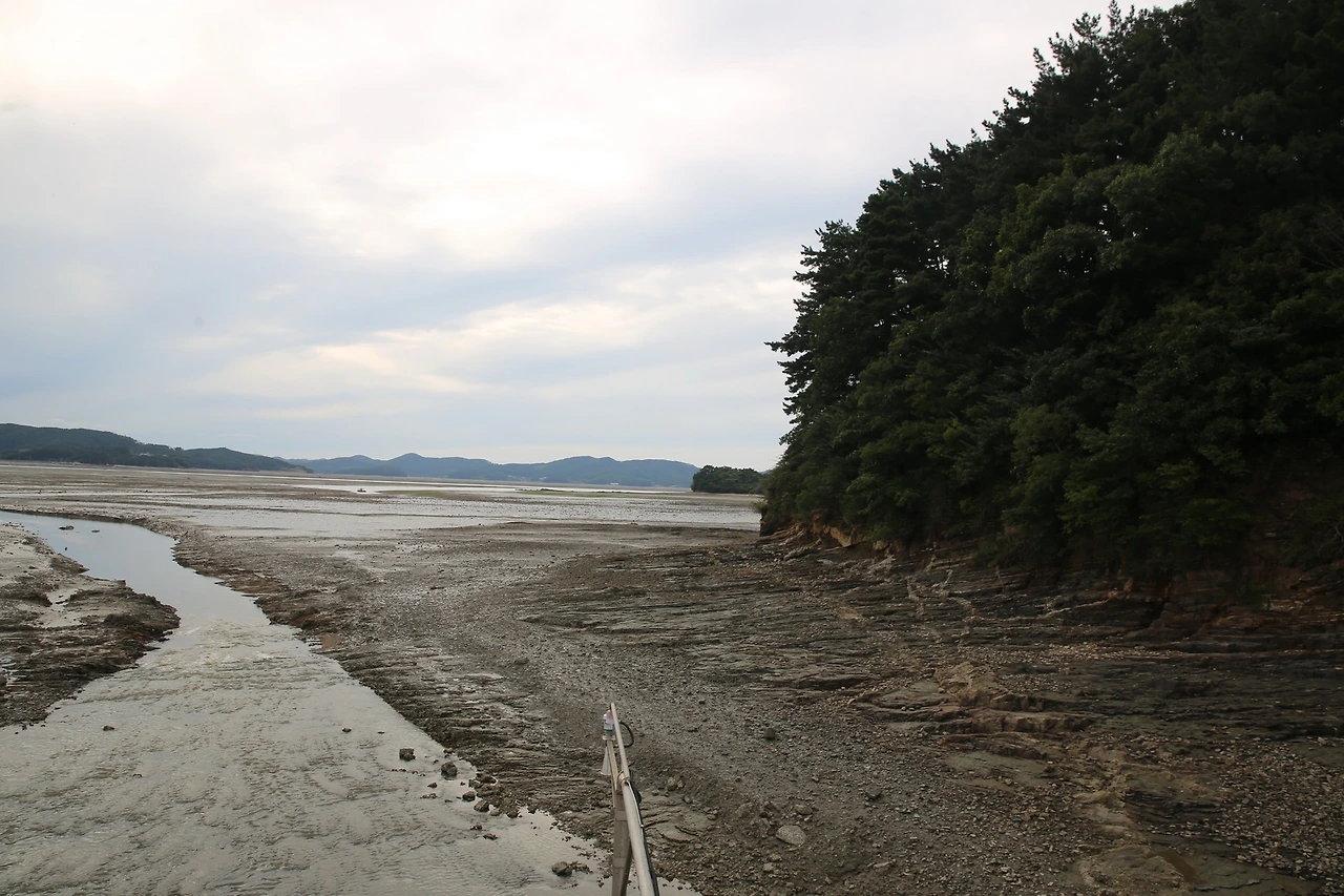 MG0A3486_новый размер.JPG