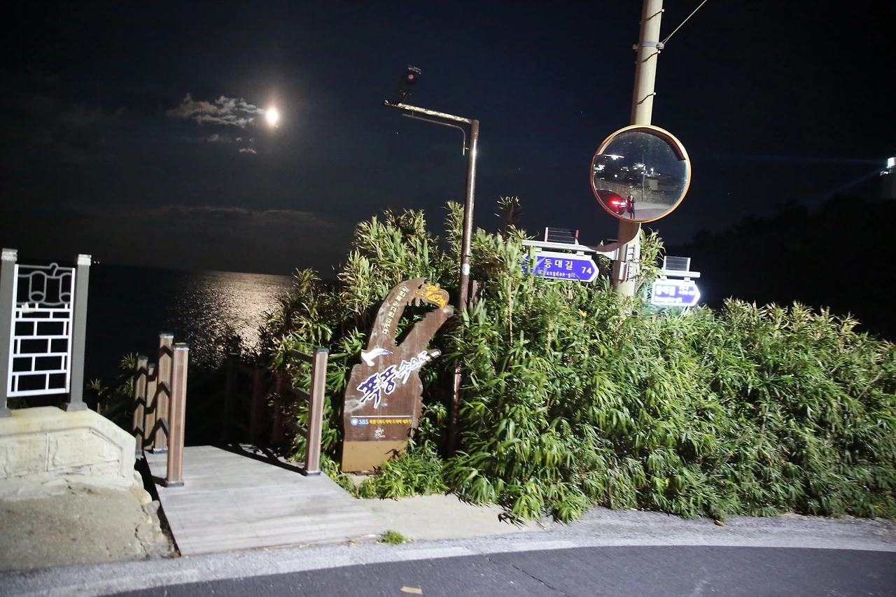 MG0A4710_новый размер.JPG