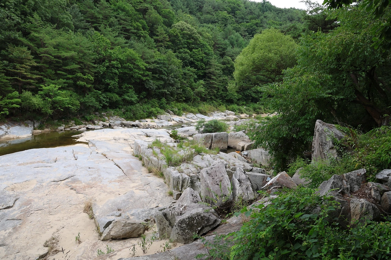 0R5A8607_новый размер.JPG