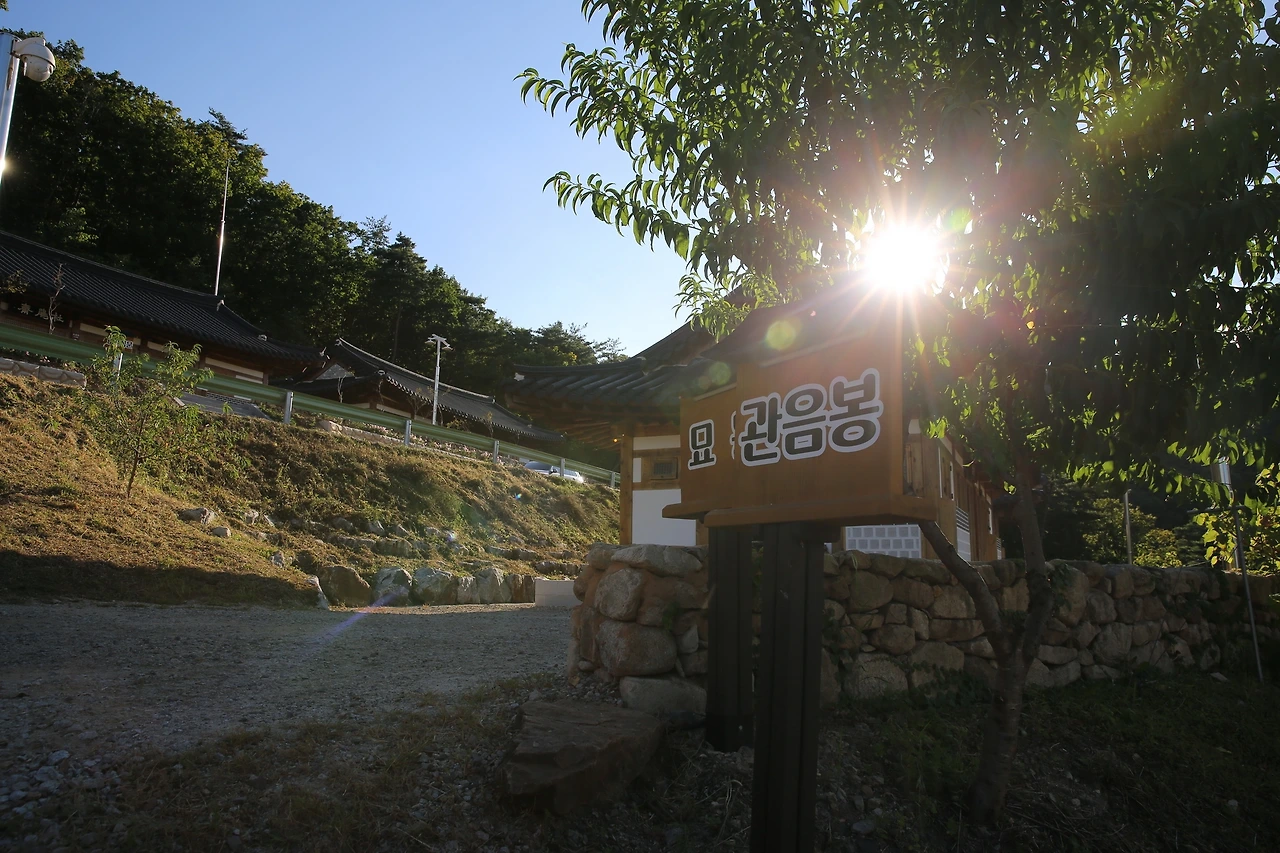 MG0A9091_новый размер.JPG