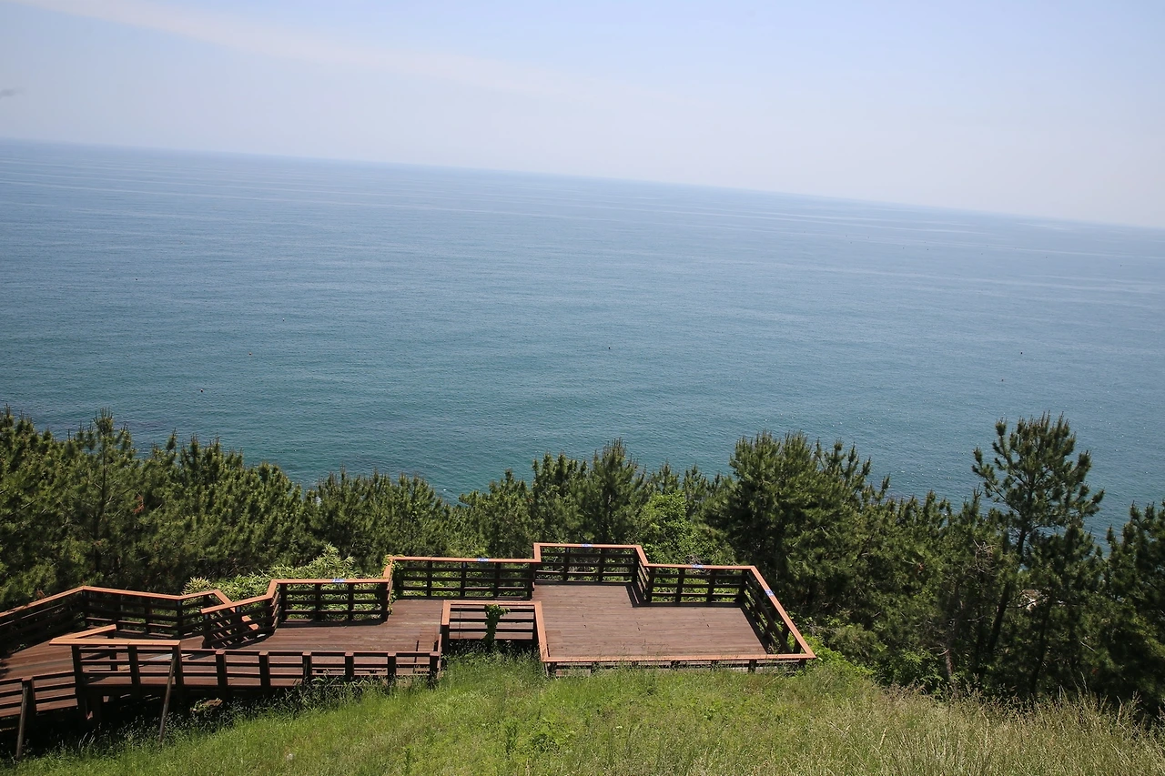 MG0A9223_новый размер.JPG