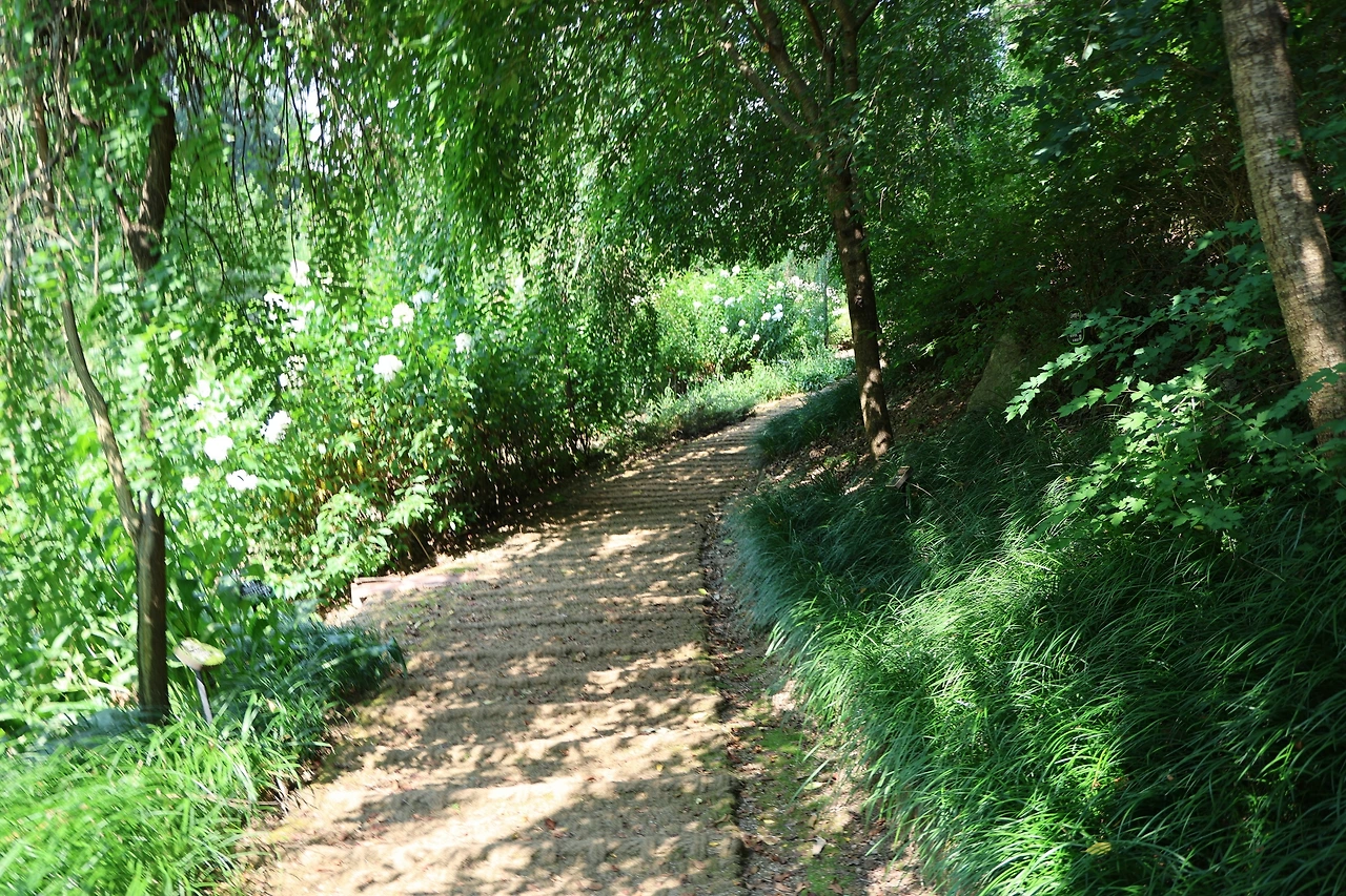 0R5A0381_новый размер.JPG