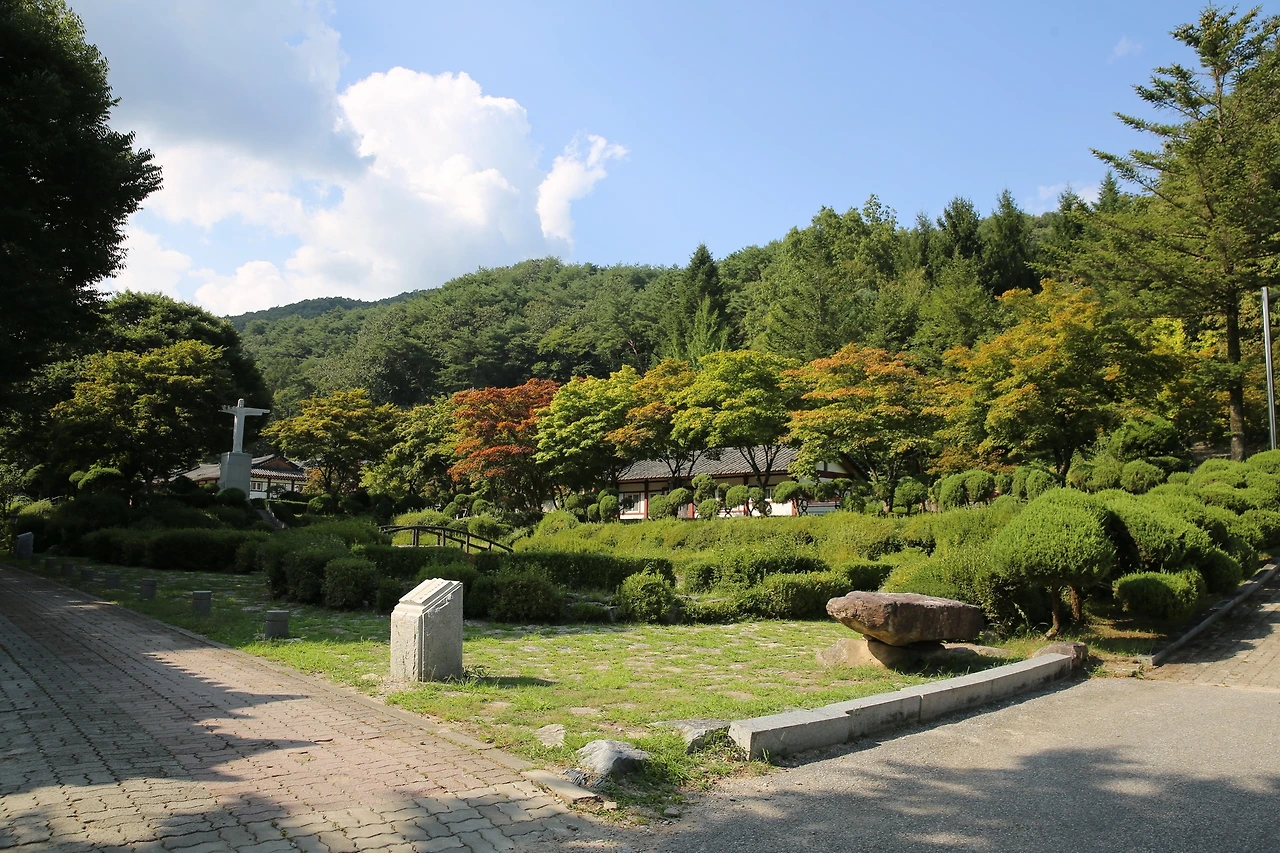 MG0A0509_новый размер.JPG