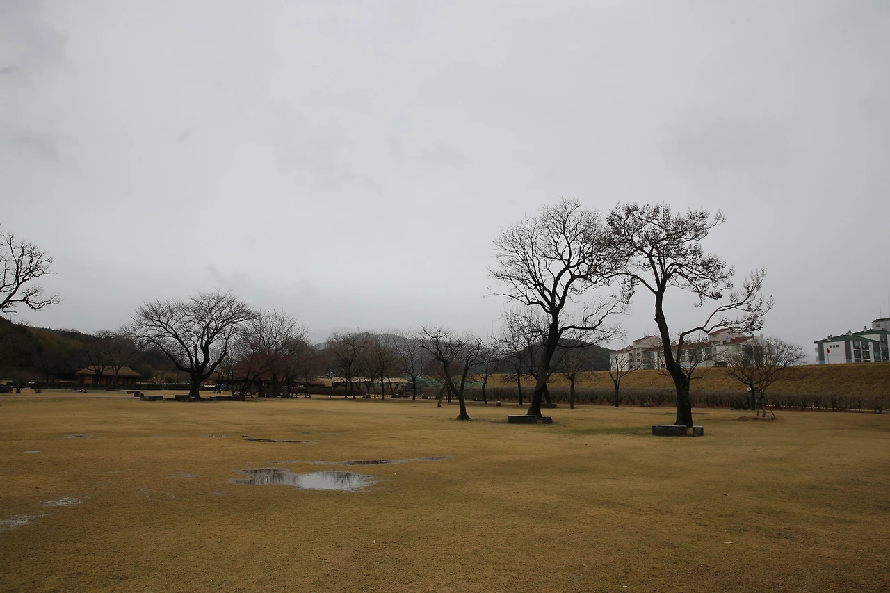 MG0A0612_новый размер.JPG