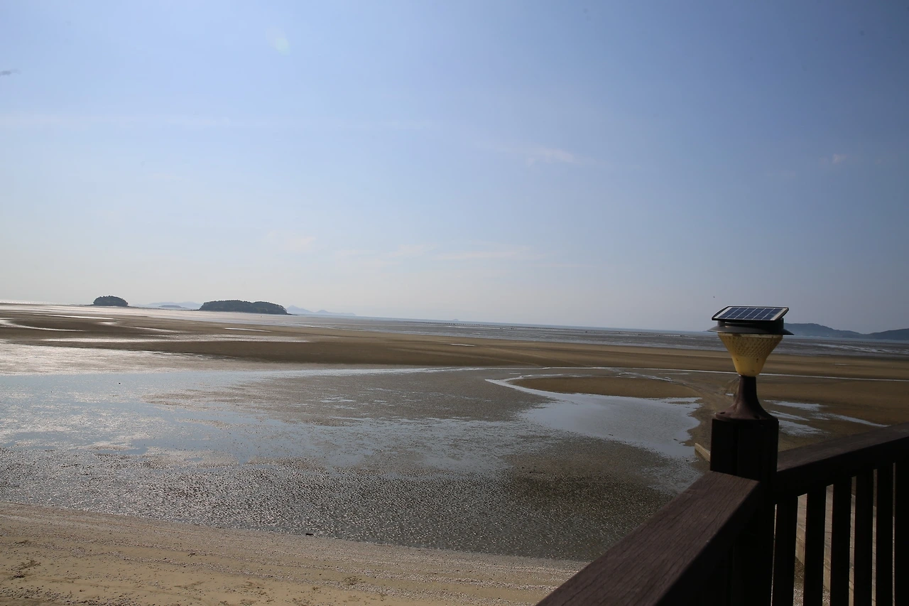 MG0A4624_новый размер.JPG