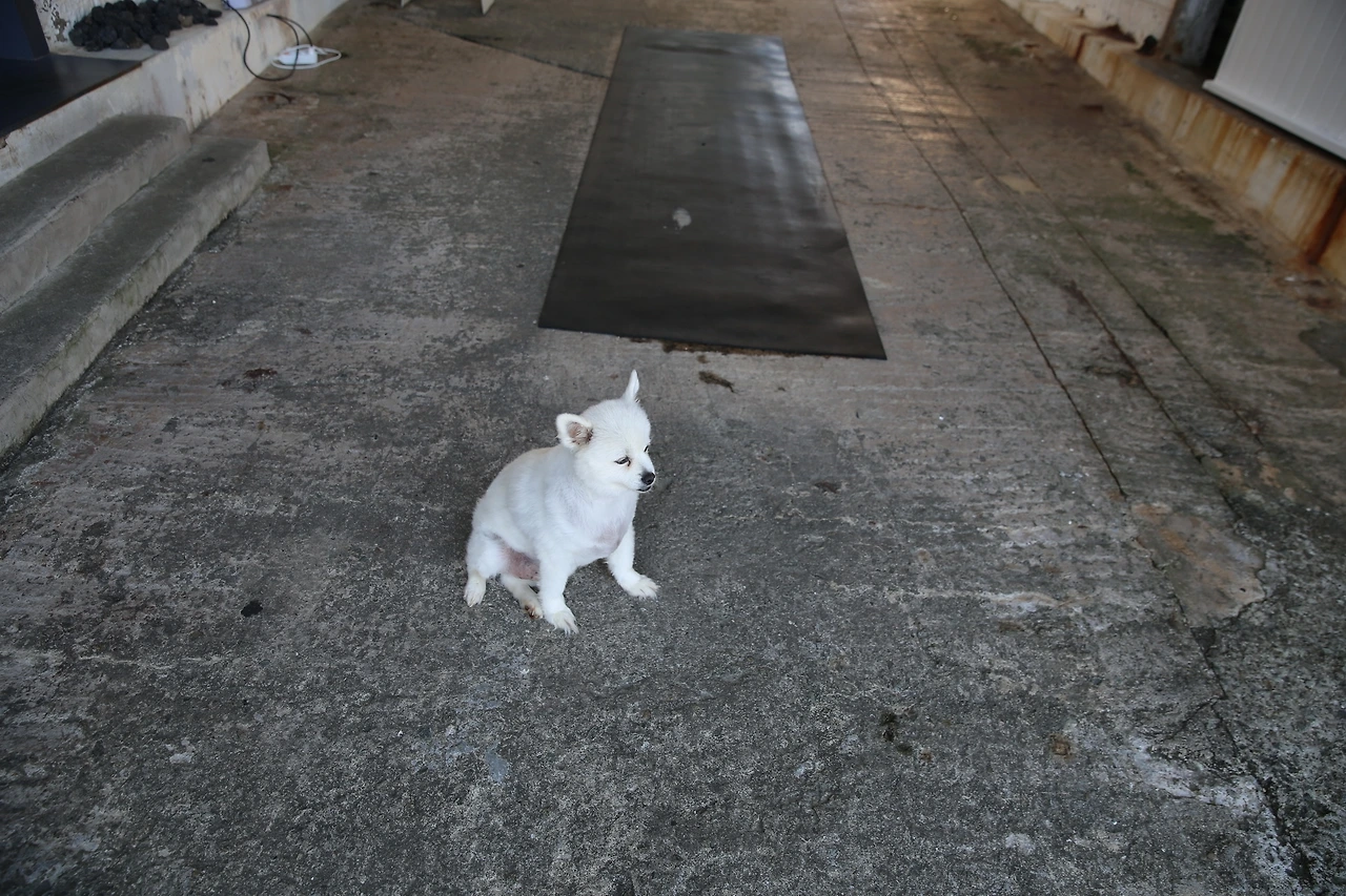 MG0A9104_новый размер.JPG