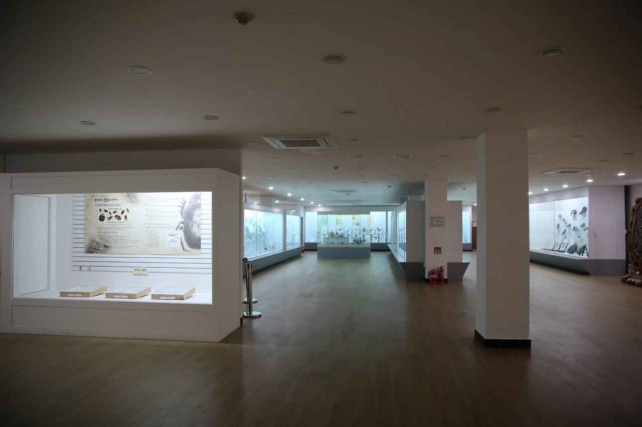 MG0A9953_resize - 복사본.JPG