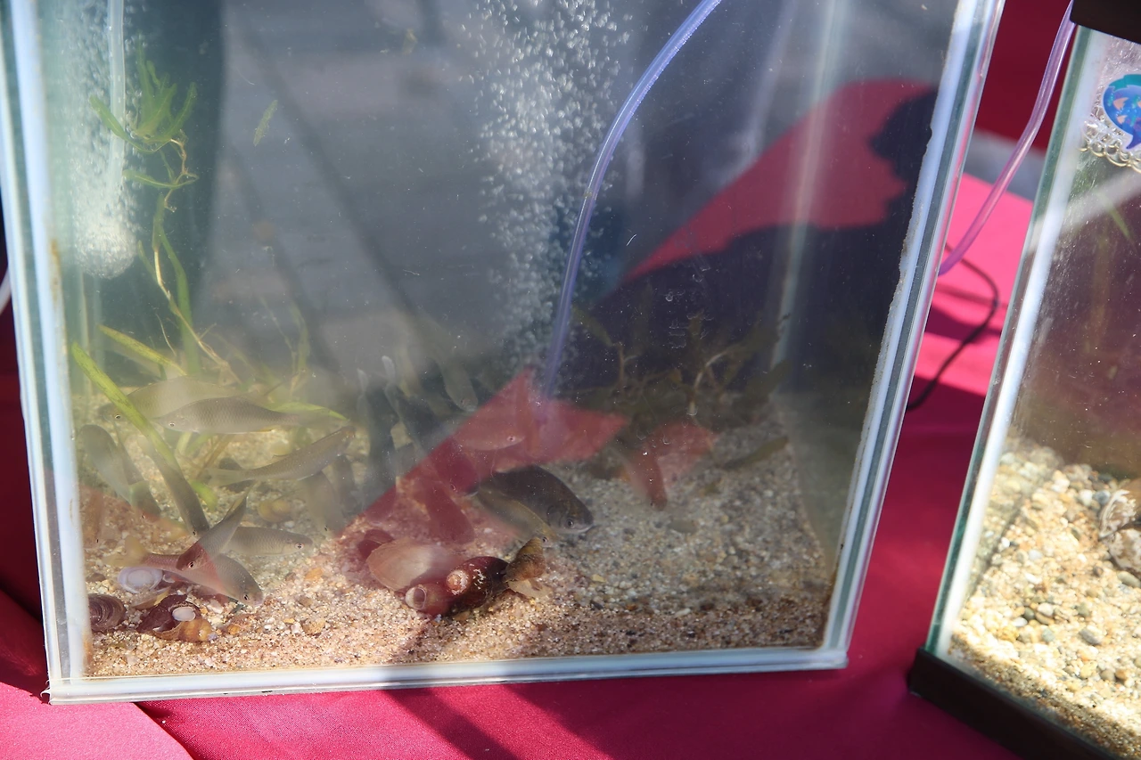 MG0A9486_новый размер.JPG