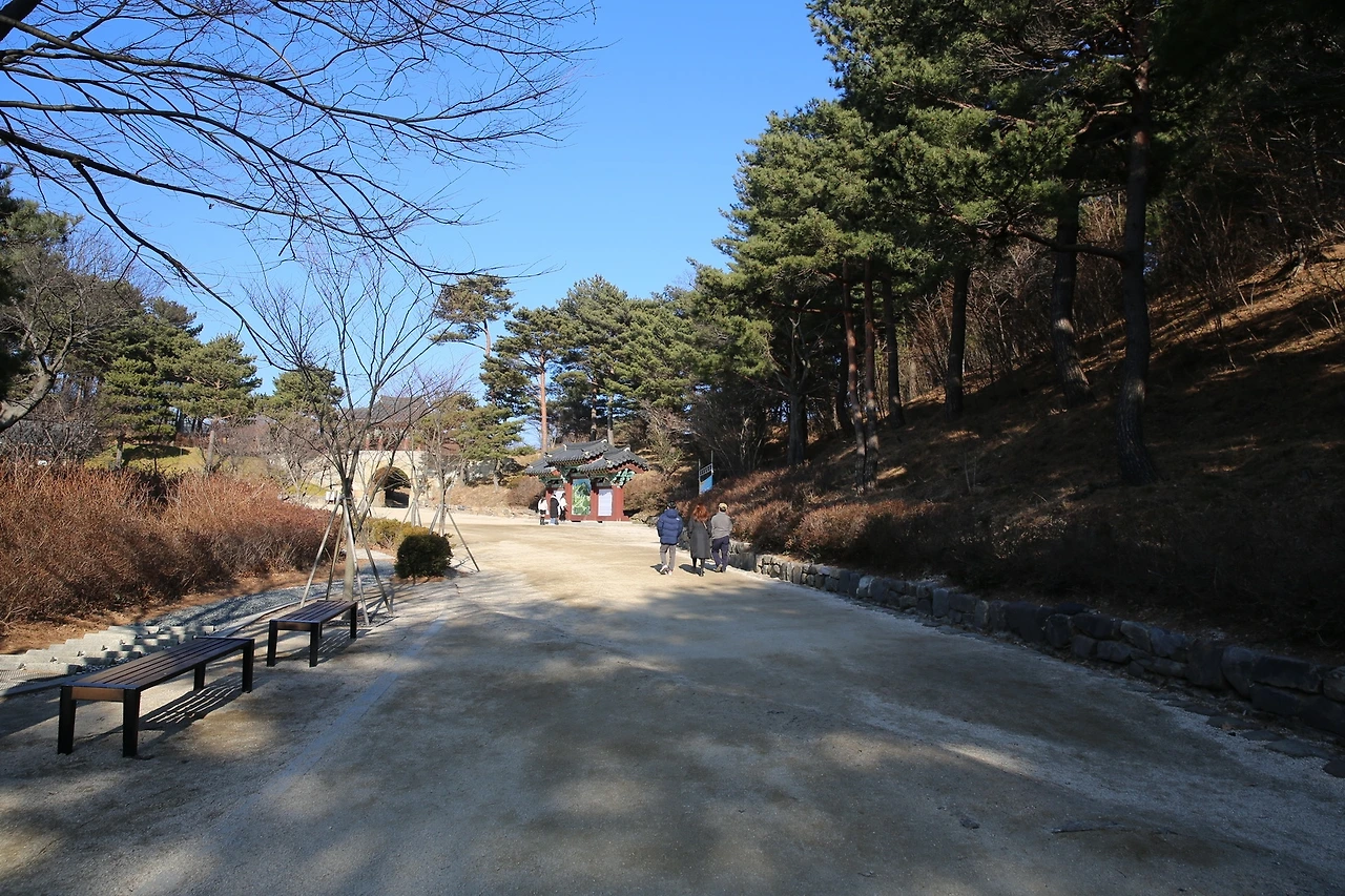 MG0A6504_новый размер.JPG