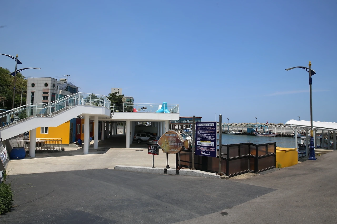 MG0A0268_новый размер.JPG