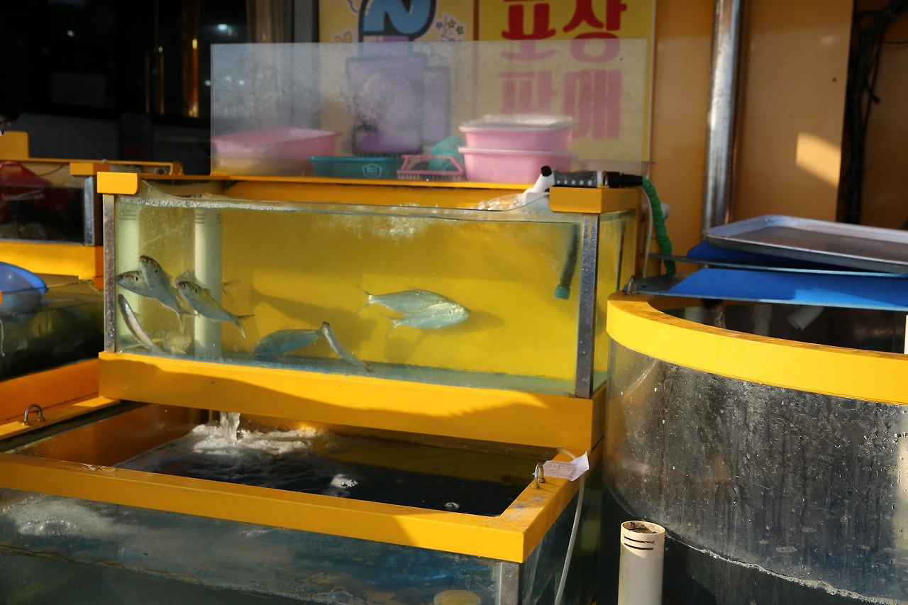 MG0A9386_новый размер.JPG