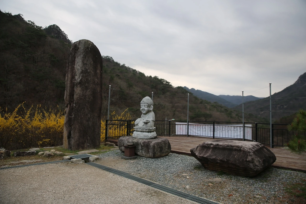 MG0A8470_новый размер.JPG