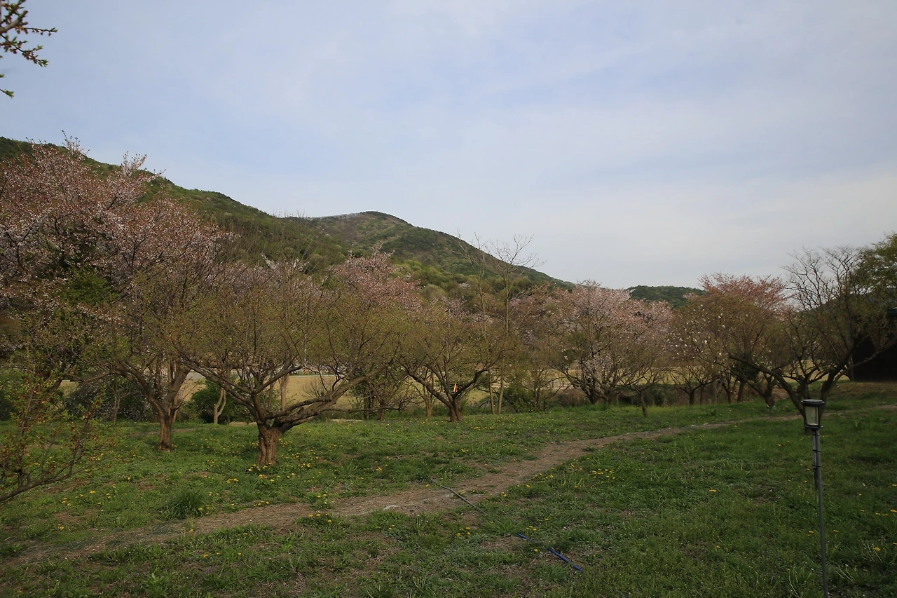 MG0A9482_новый размер.JPG