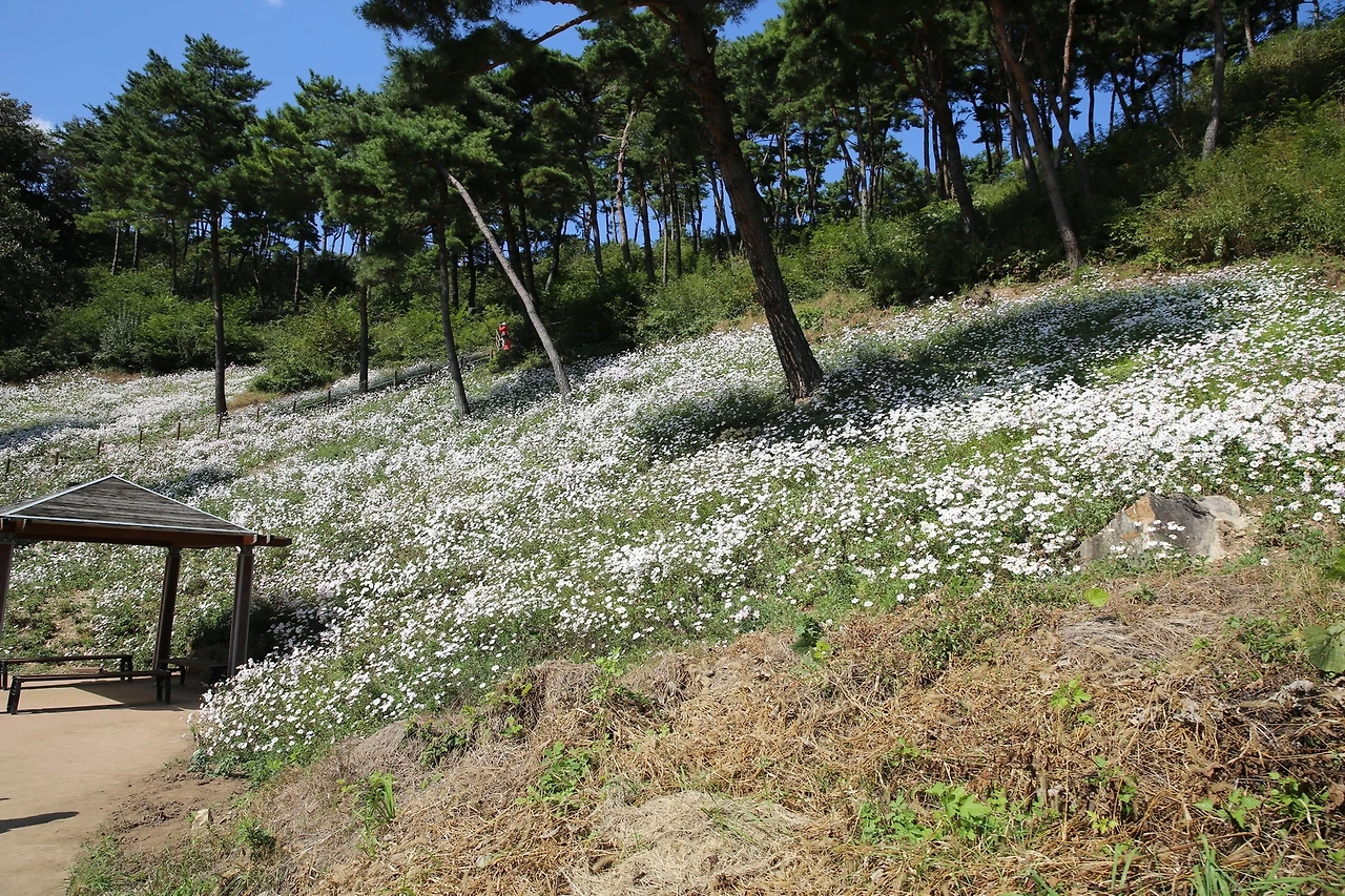 MG0A6197_новый размер.JPG