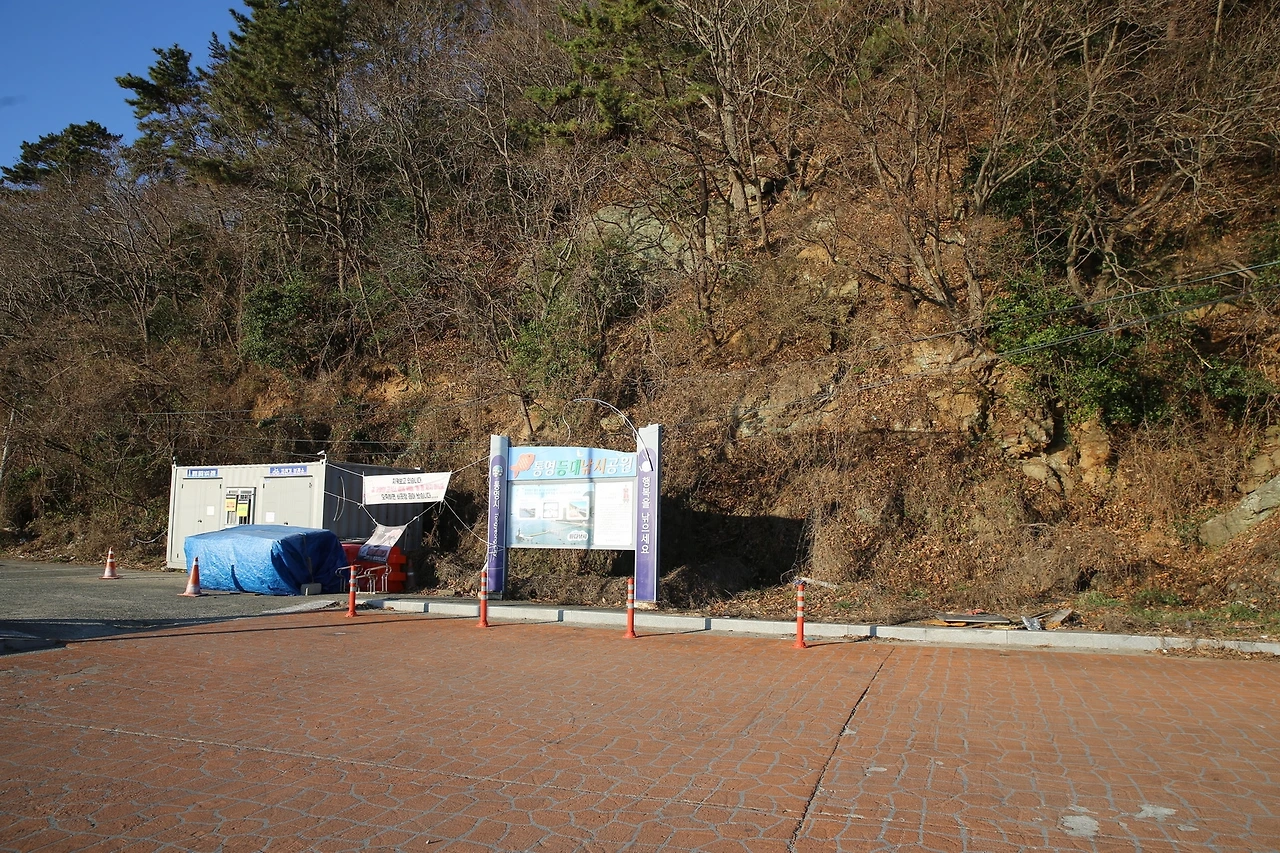 MG0A4550_новый размер.JPG