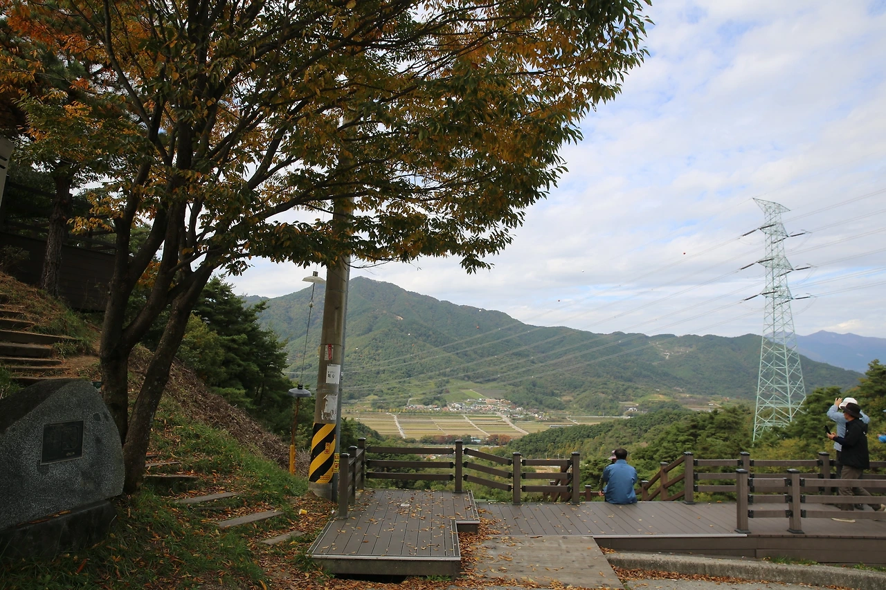 MG0A7810_новый размер.JPG