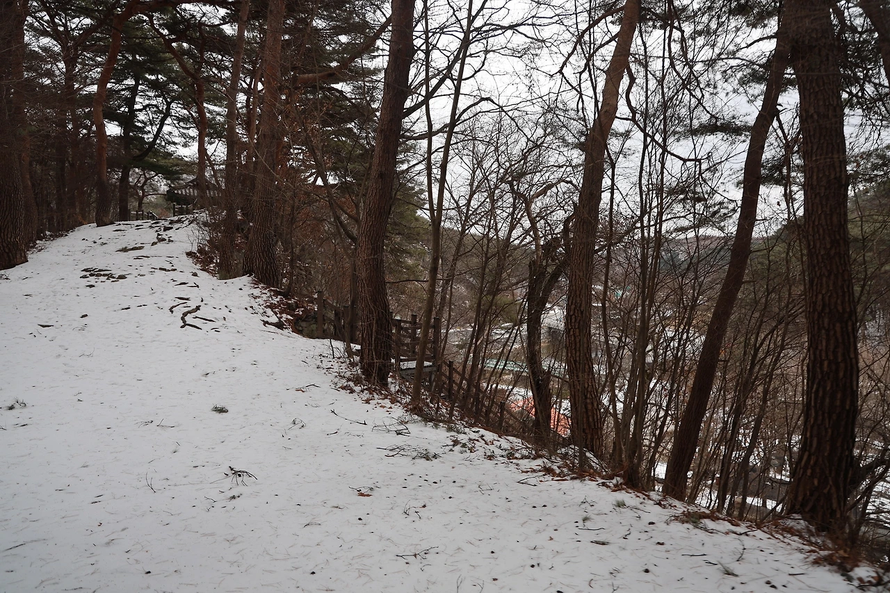 0R5A1722_новый размер.JPG