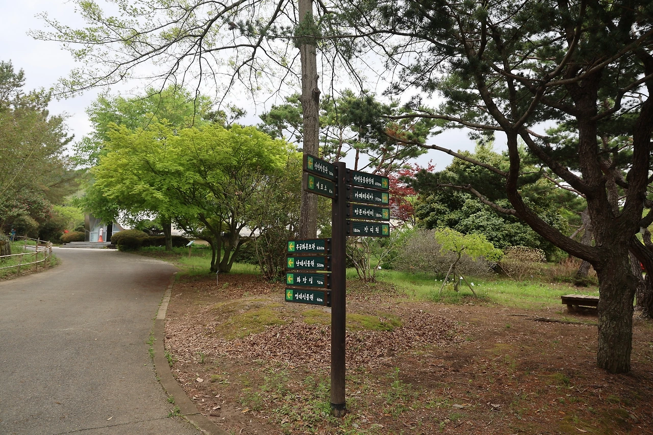 0R5A7578_новый размер.JPG