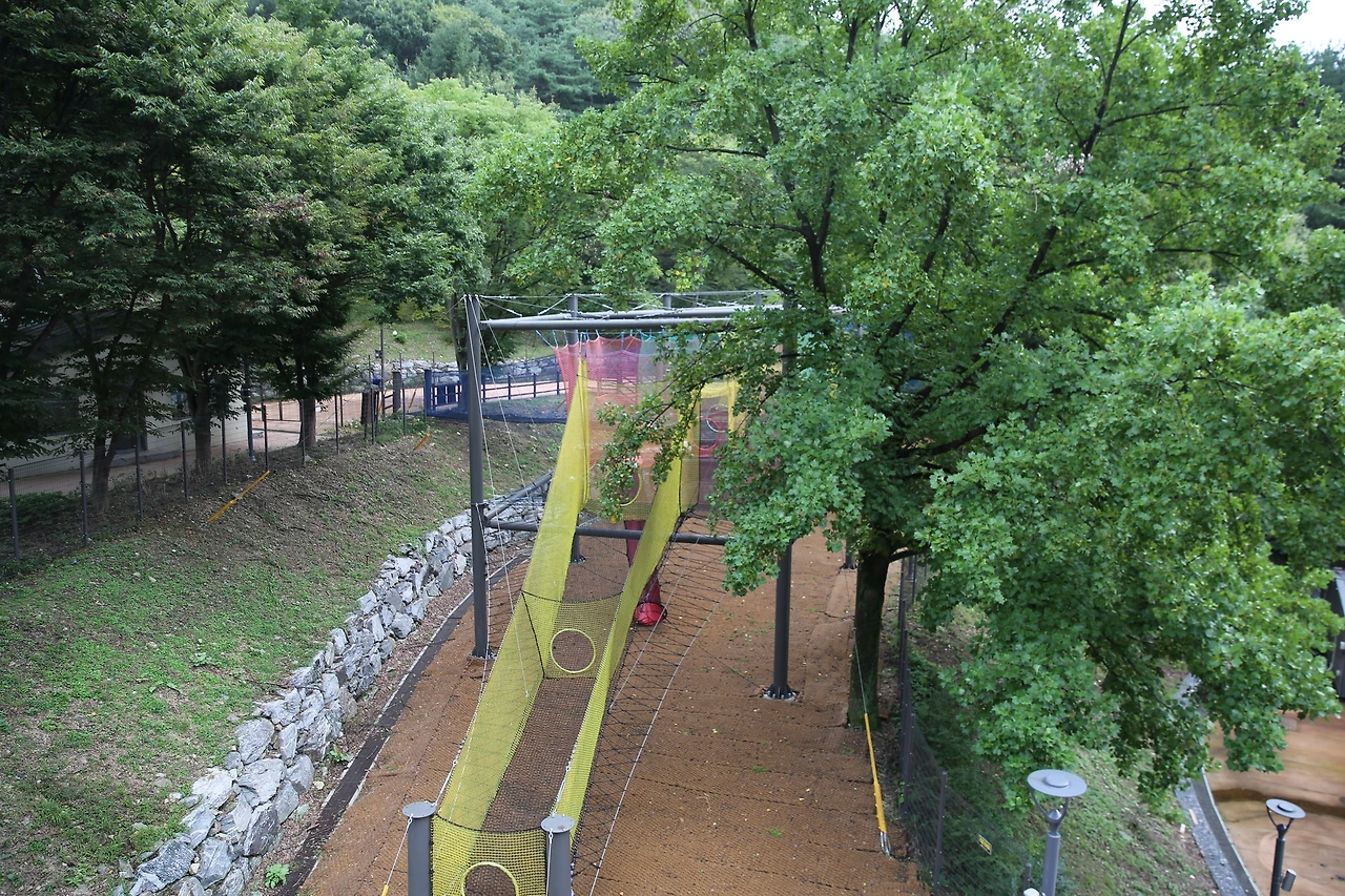 MG0A1051_новый размер.JPG