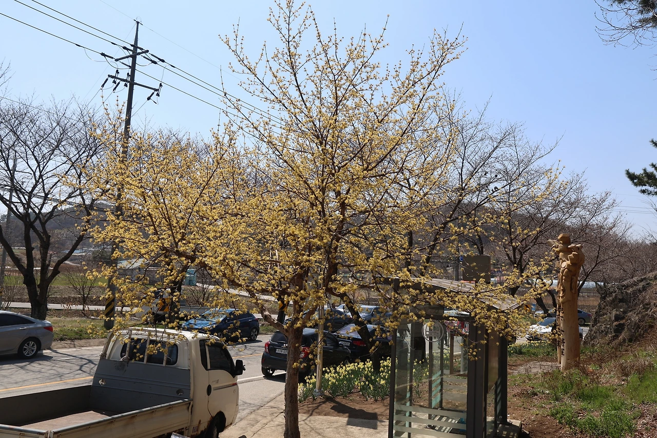 0R5A5910_новый размер.JPG