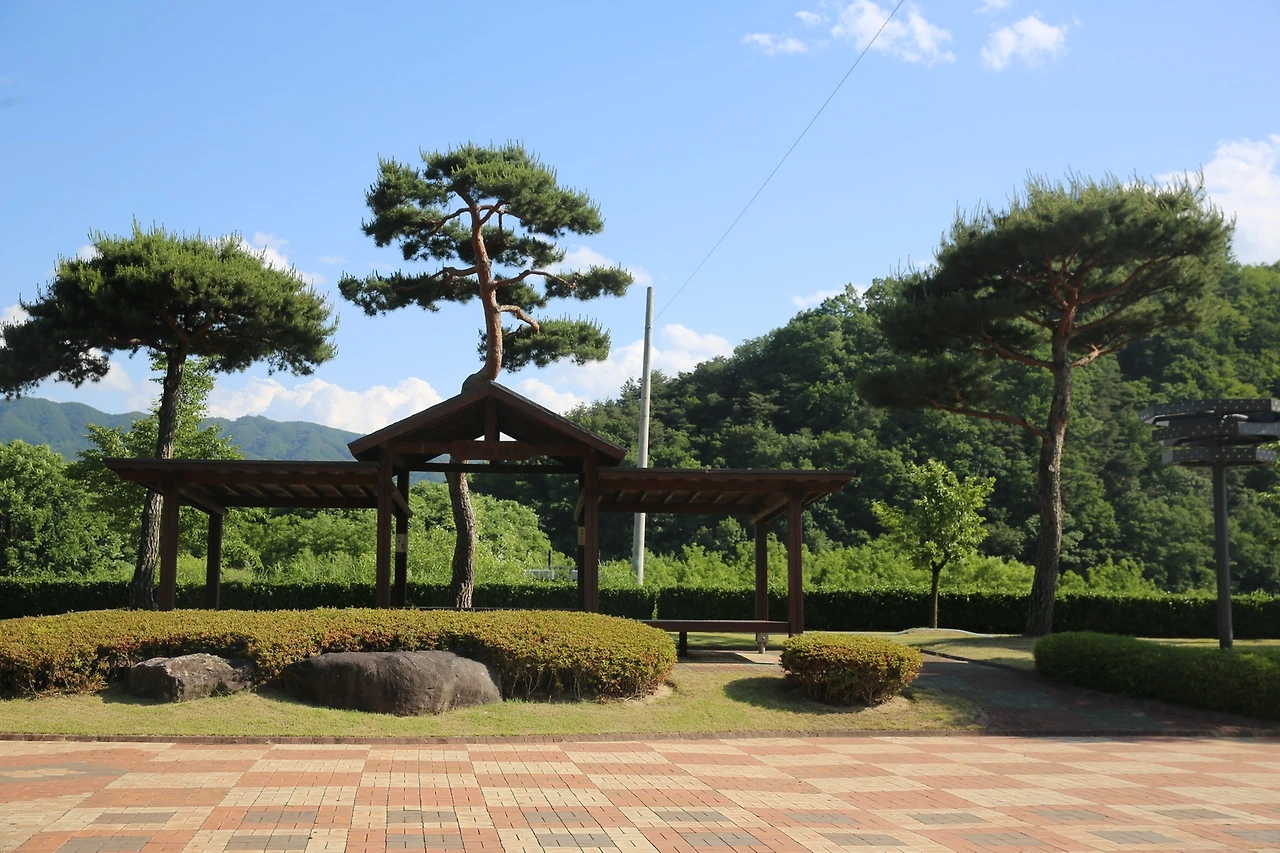 MG0A9491_новый размер.JPG