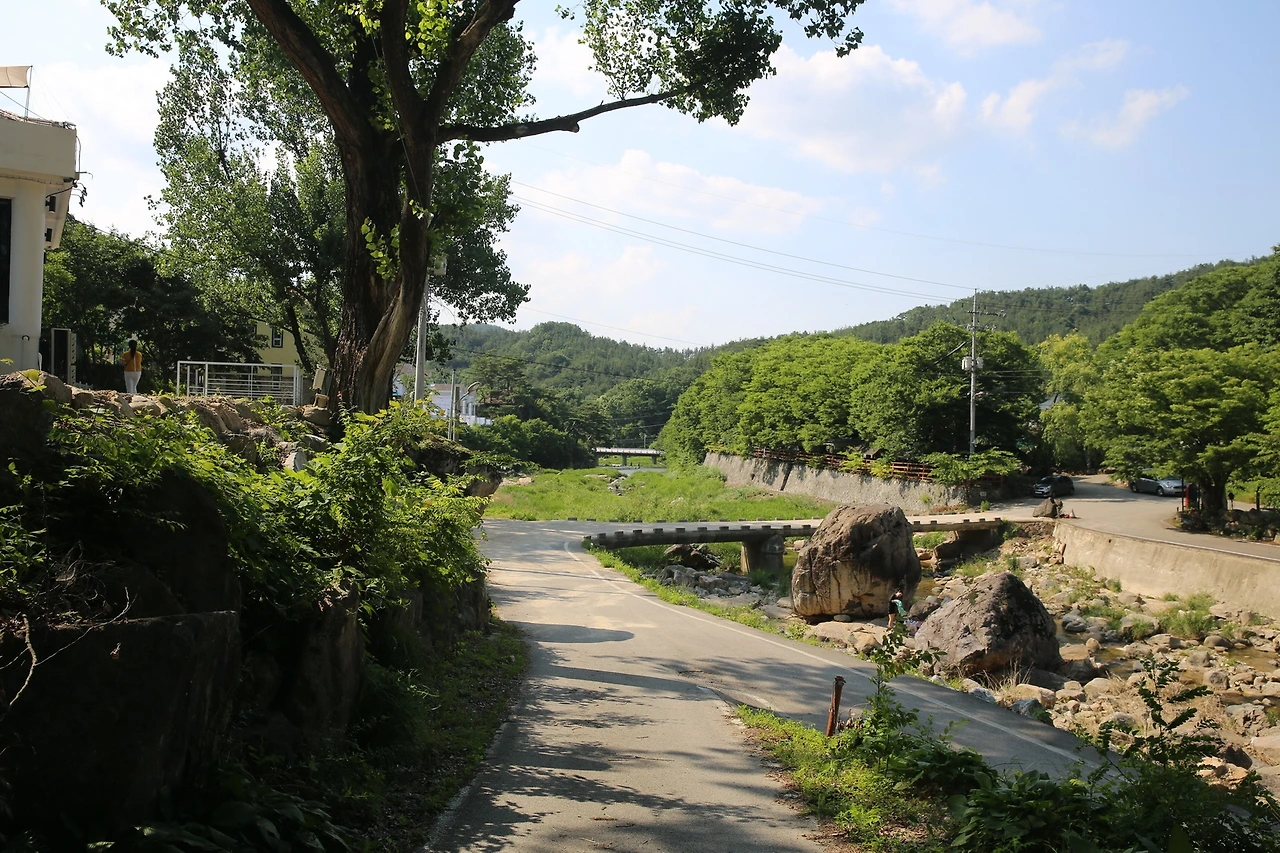 MG0A1581_новый размер.JPG