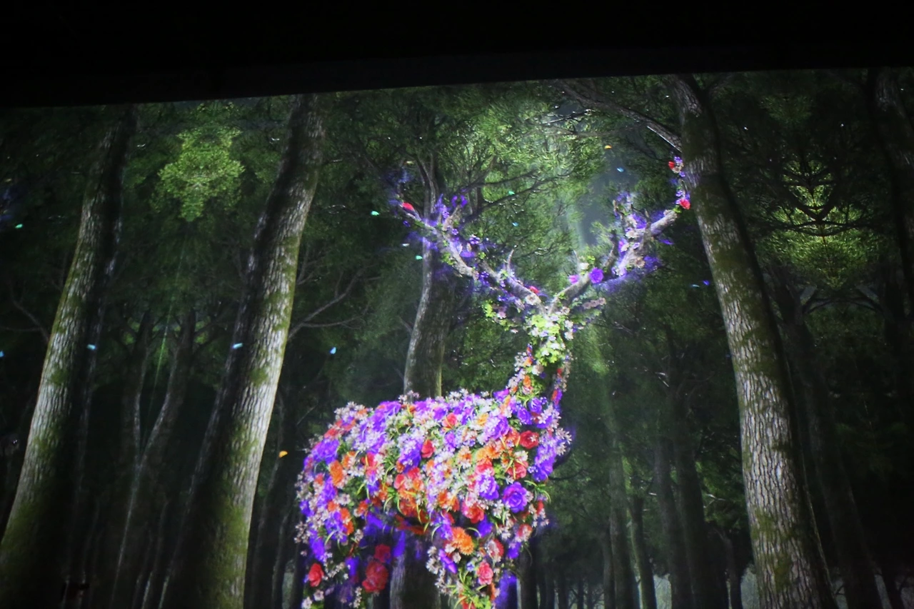 MG0A2101_новый размер.JPG