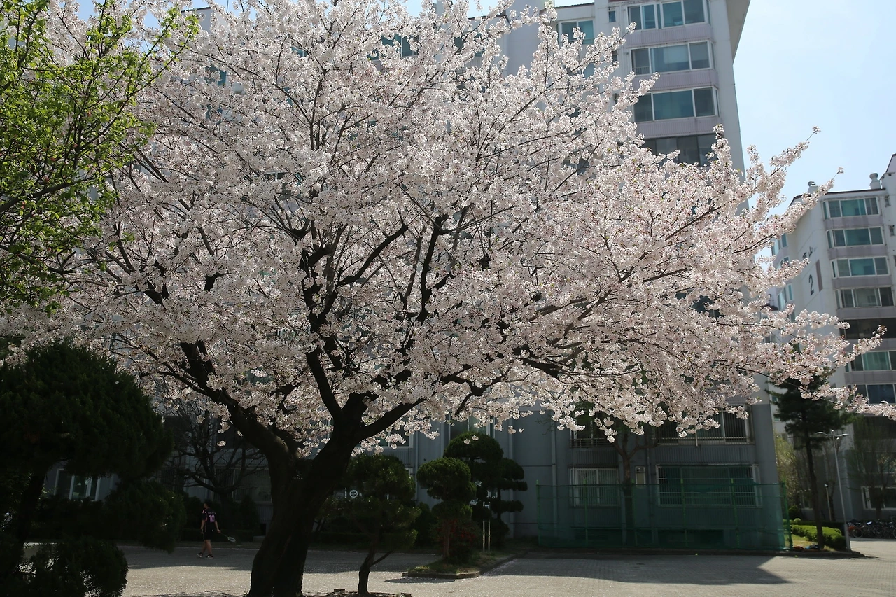 MG0A8519_новый размер.JPG