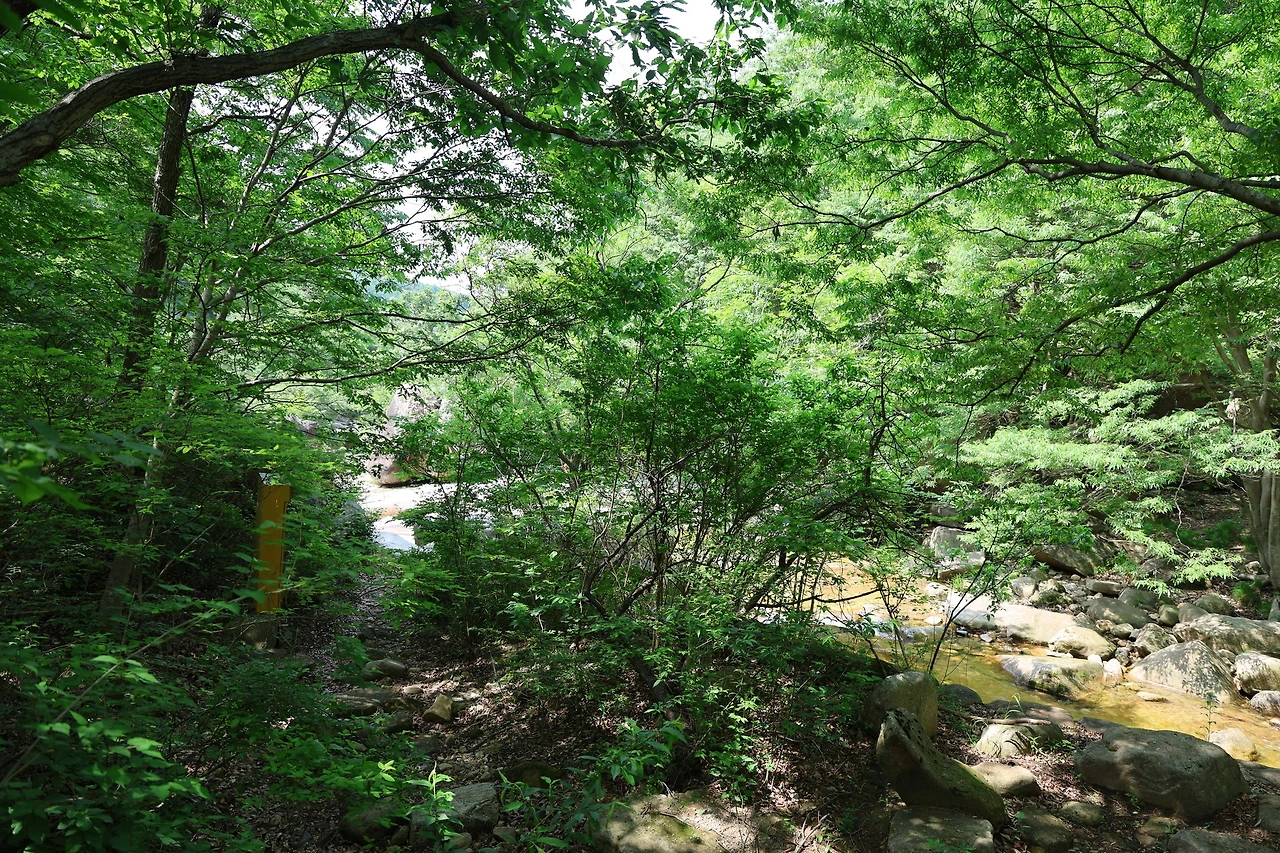 0R5A1377_новый размер.JPG