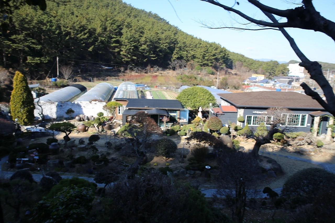 MG0A4758_новый размер.JPG