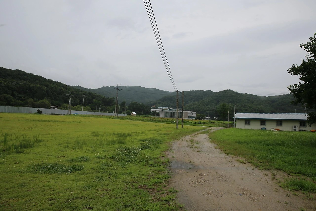 MG0A6024_новый размер.JPG