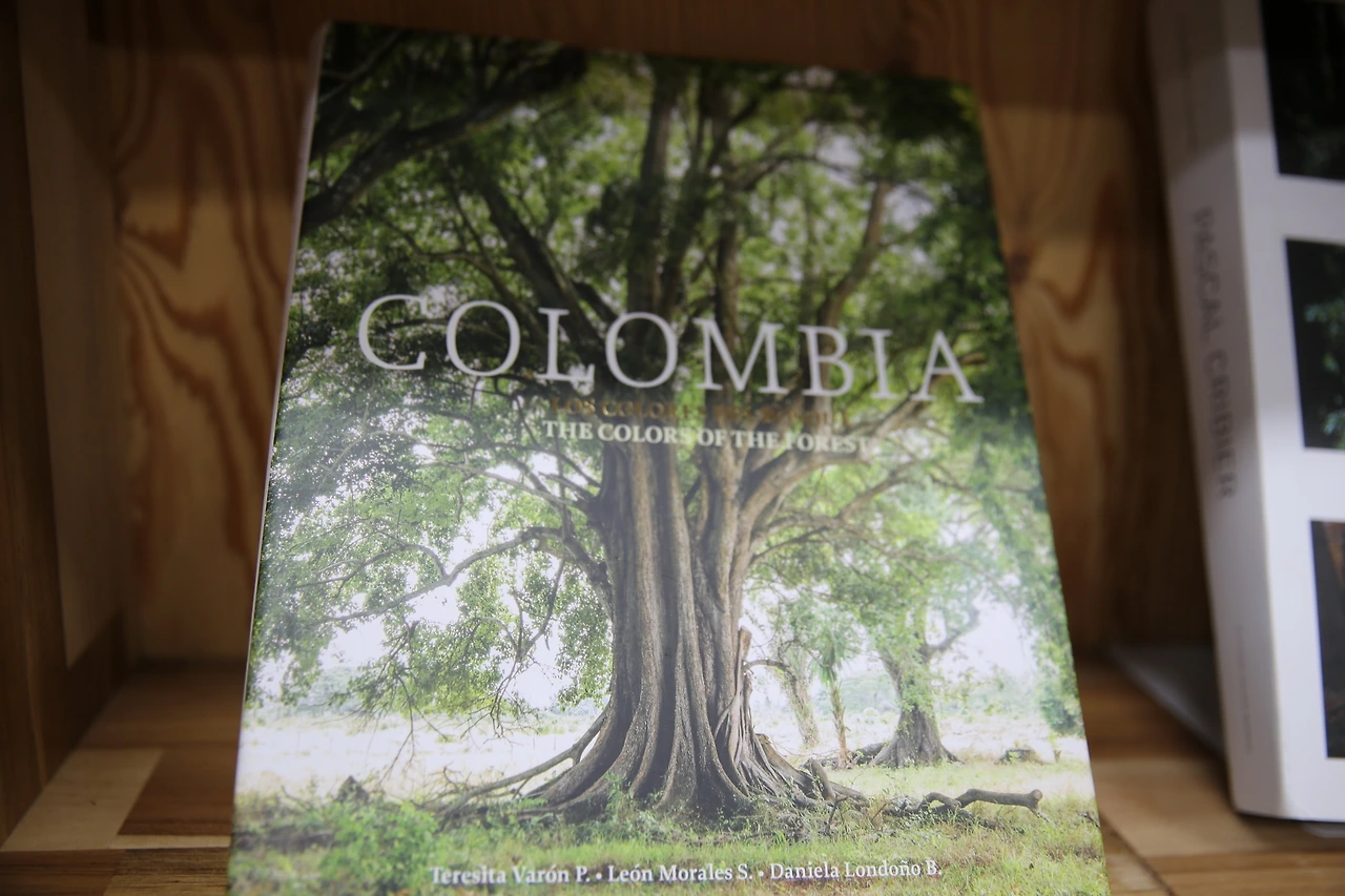 MG0A1496_новый размер.JPG