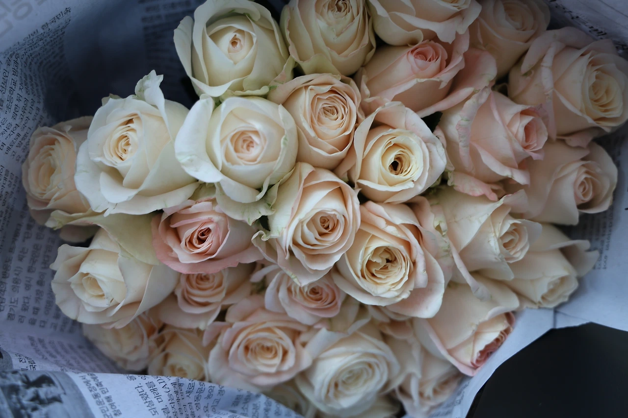 0R5A4799_новый размер.JPG